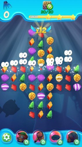 Finding Fish Frenzy: Seashells