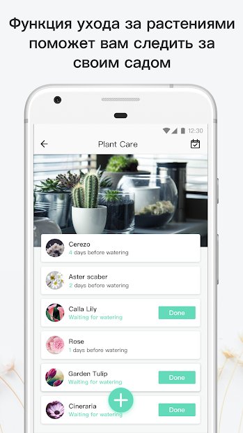 PictureThis растения признать