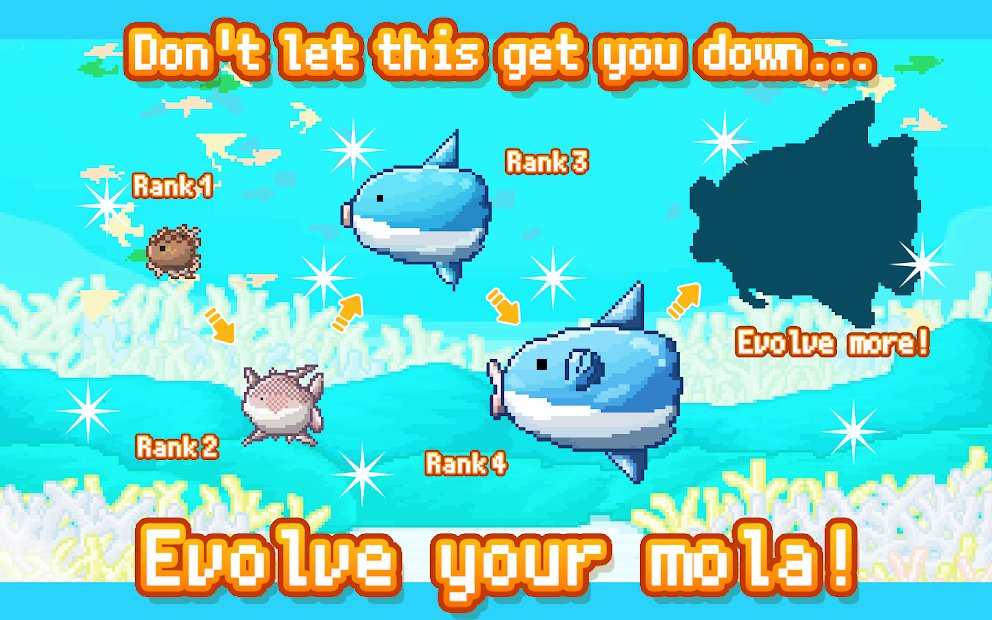 Survive! Mola mola!