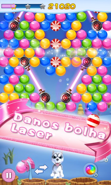 Filhote de cachorro da bolha