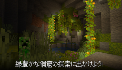 マインクラフト (Minecraft) 1.19
