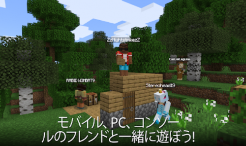 マインクラフト(Minecraft) 1.18