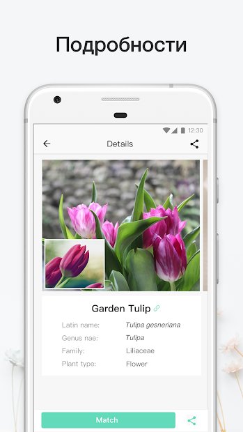 PictureThis растения признать