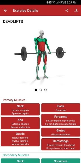 MuscleMatics