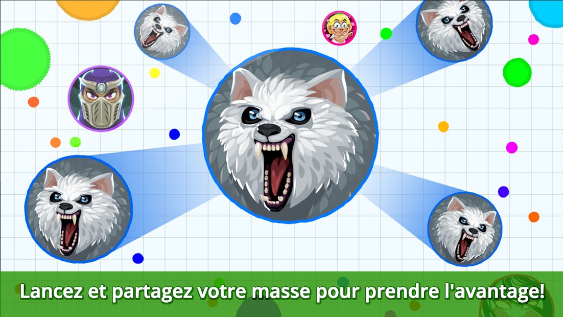 Agar.io
