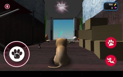 Dog Simulator