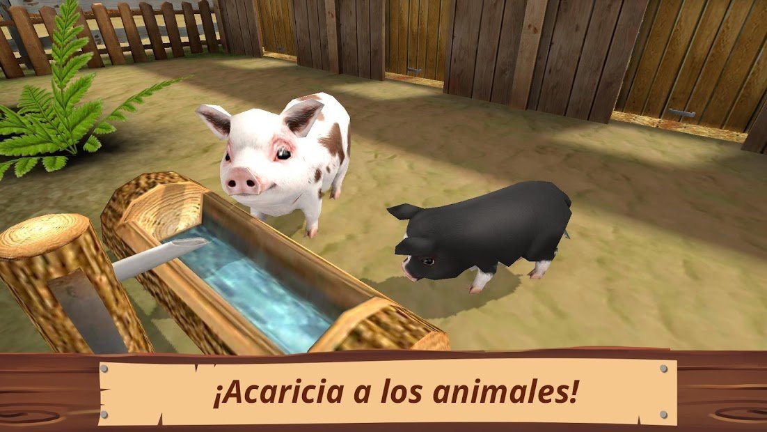 Pet World - Refugio y cuidado de animales