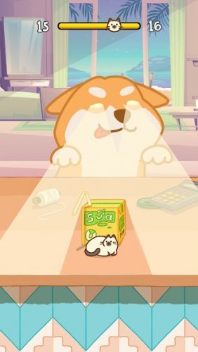 Hide N 'Seek: perro y gato