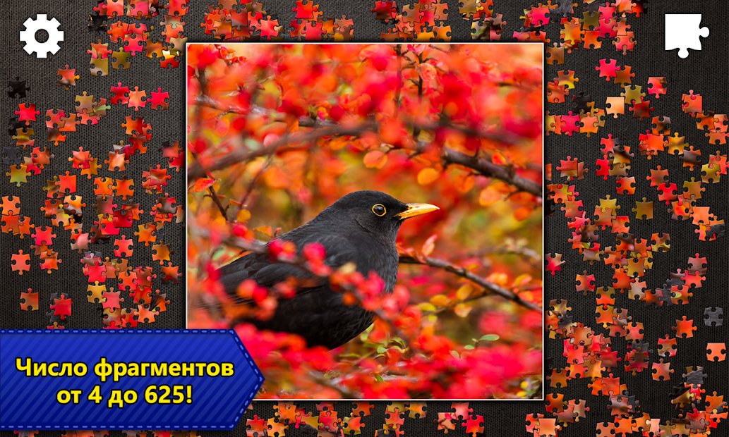 Пазлы Jigsaw Puzzle Epic