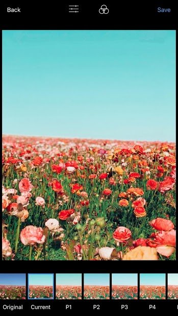 Preview - Plan your Instagram