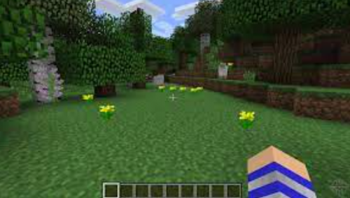 Minecraft 1.19.10