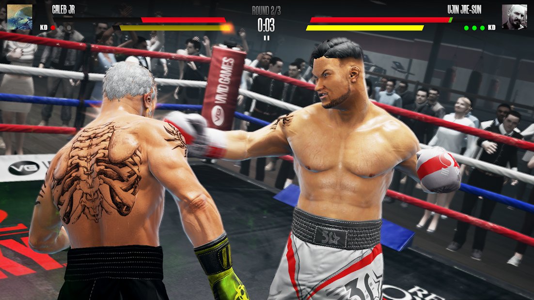 Real Boxing 2