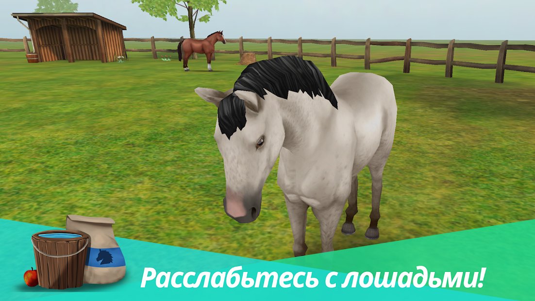 Horse World