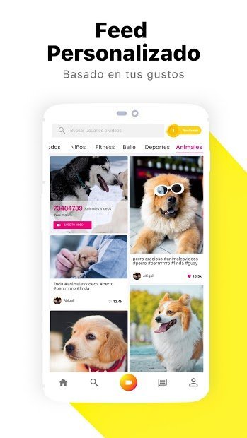 Bermi: Filma Videos Cortos