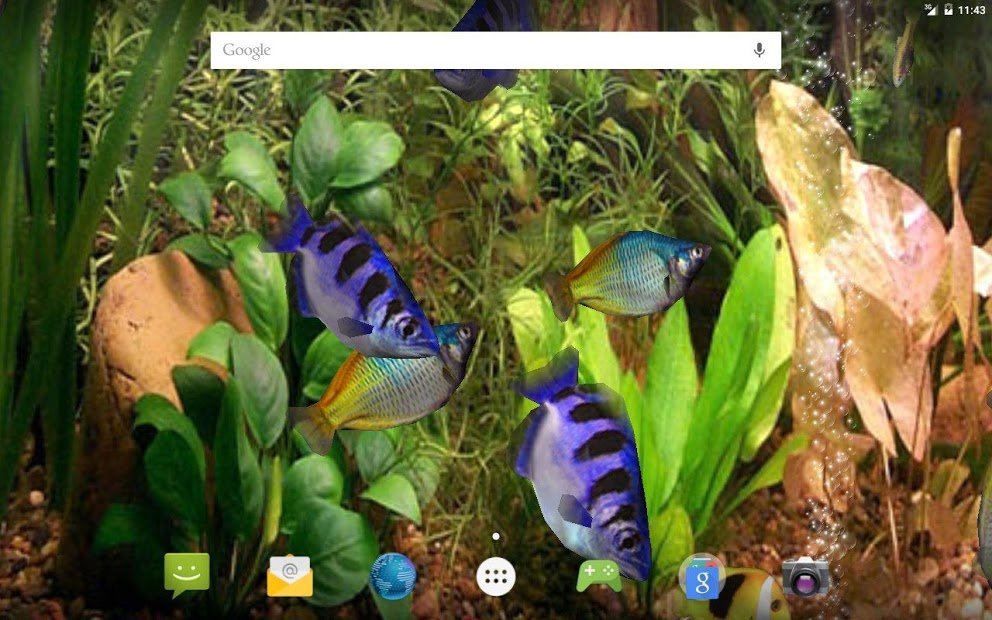 Aqua 3D Live-Hintergrund