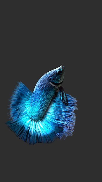 Betta Fish 3D -  3D Live Wallpaper