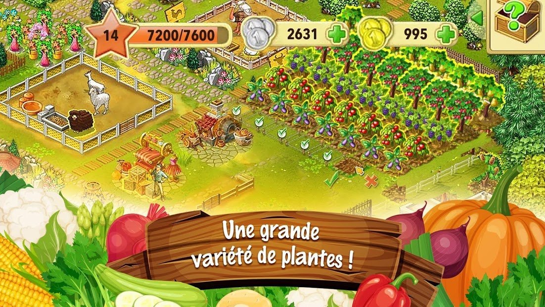 La ferme Jane: construis la petite ville