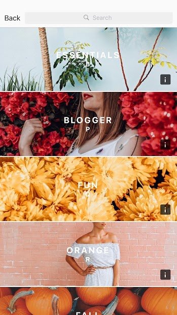 Preview pour Instagram
