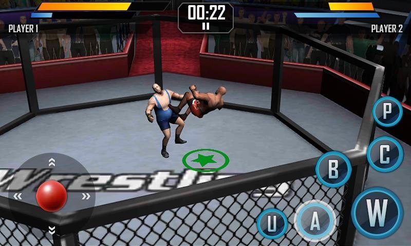 Lucha real 3D