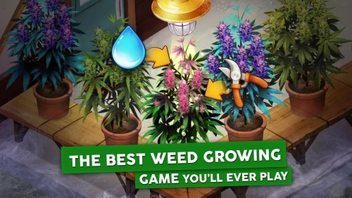 Hempire - Weed Growing Game