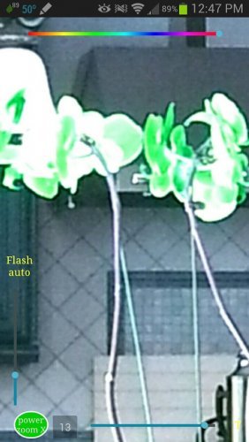 Scientific Camera Pro