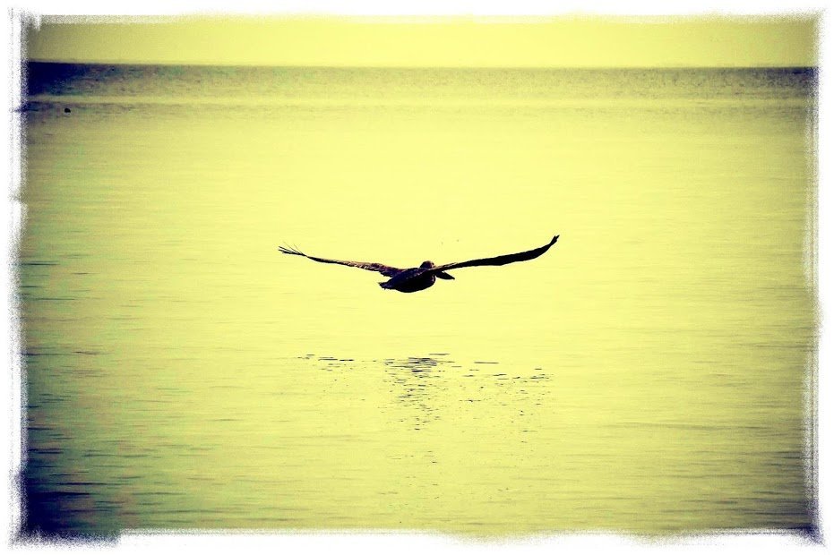 Vignette • Photo effects