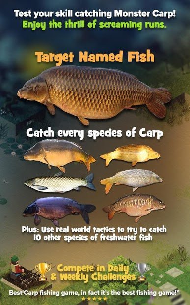 Carpcraft: Carp Fishing