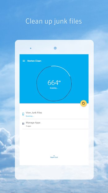 Norton Clean, Junk Removal