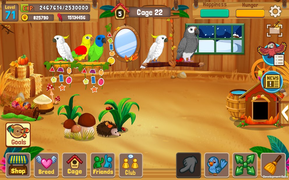 Bird Land: Zooladen Spiel, spiele mit einem Vogel