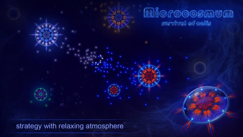 Microcosmum: survival of cells