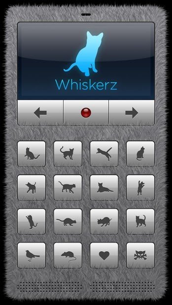 Katzenrufe - Spiel mit deiner Katze!