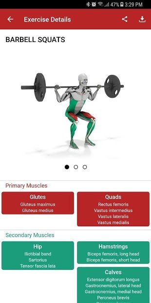 MuscleMatics