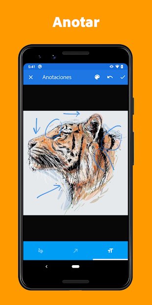 Adobe Creative Cloud