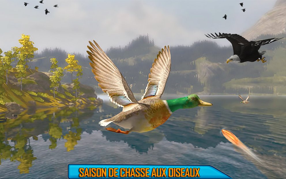 Oiseaux du désert sniper