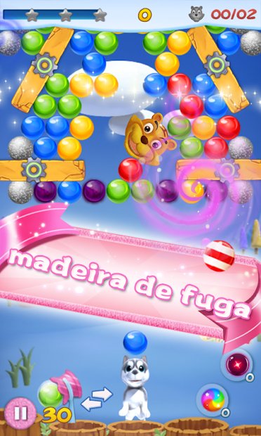 Filhote de cachorro da bolha