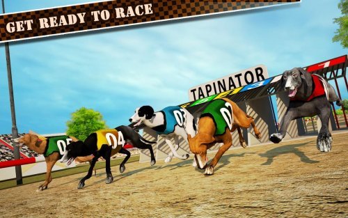 Dog Race & Stunts 2016