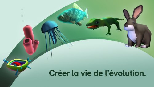 Cellule à la singularité - Une évolution sans fin