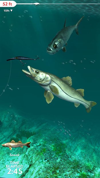 Rapala Fishing - Daily Catch