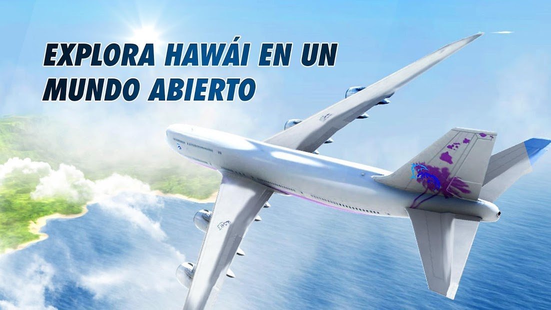 Take Off The Flight Simulator