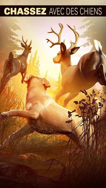 Deer Hunter 2018