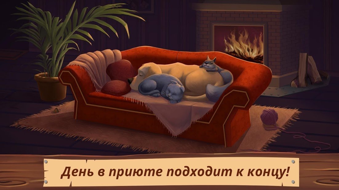 PetWorld: приют животных