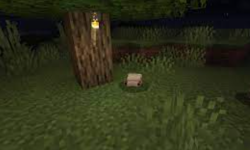 Minecraft 1.19.50