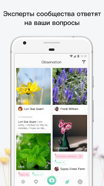 PictureThis растения признать